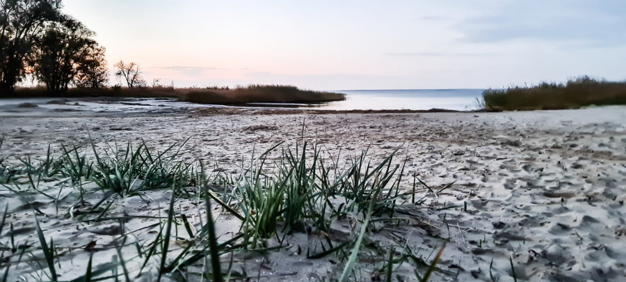 122382156_3587847257944730_9148113700243314751_n